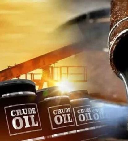 Agriculture Products